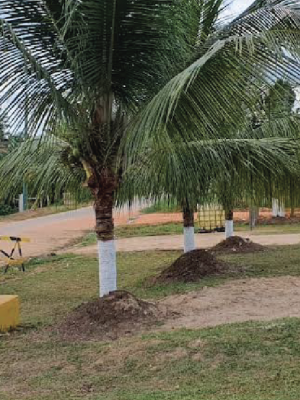 A Polícia Civil do Amazonas (PC-AM), por meio da 63ª Delegacia Interativa de Polícia (DIP) de Pauini (a 923 quilômetros de Manaus), em ação conjunta com a Polícia Militar do Amazonas (PMAM), cumpriu, na última sexta-feira (05), mandado de prisão preventiva de um homem, de 22 anos, por homicídio qualificado praticado contra Artemio Silva da Costa, que tinha 27 anos. O crime aconteceu no dia 16 de abril deste ano, no município.